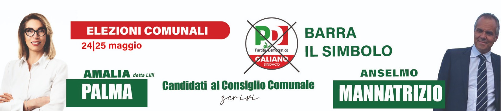 BANNER PALMA