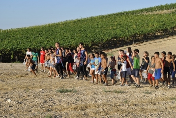 Manifestazioni estive per l'infanzia di Trani, bando all'Ati capeggiata da Xiao Yan: trentasei eventi per poco meno di 20mila euro