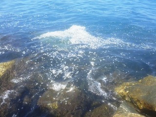 WHATSAPP. Mare di Trani «esemplare» a luglio. Ma, adesso, che sta succedendo?