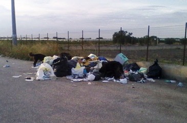 Trani Boccadoro, game over: senza più cassonetti, adesso è discarica totalmente abusiva