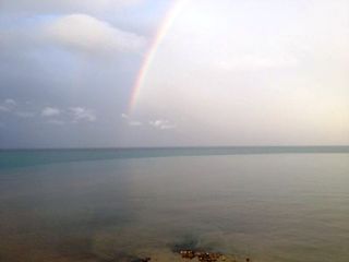 FOTO e VIDEO. Piove, ed il mare di Trani cambia colore: scena imbarazzante. Sottovia nuovamente allagato, volontari con pompa idrovora aggiuntiva