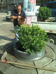 WHATSAPP, foto-segnalazione da piazza XX Settembre: le panchine tornano 