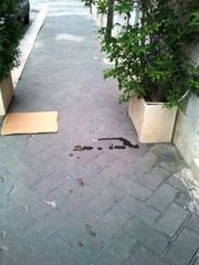 WHATSAPP. Trani, ancora escrementi in via Umberto. Nello stesso punto, alcuni giorni fa, feci umane