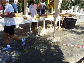 WHATSAPP. Tranincorsa, grappoli di spreco a fine gara: piazza Plebiscito trasformata in un tappeto d'uva