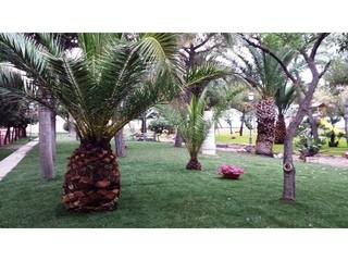 Villa di Trani e piazza Dante: prati verdi, irrigazione e fontana sono costati, complessivamente, 60mila euro