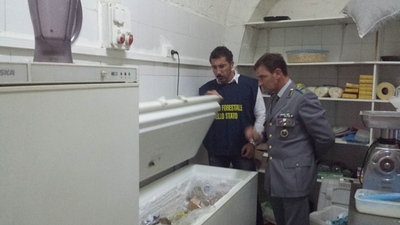 Trani, sequestrato dalla Forestale ristorante cinese pieno d'insetti. Controlli e sanzioni anche in altri comuni