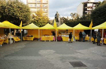 Anche questo mese, per l'intera giornata odierna, «Campagna amica» torna a Trani