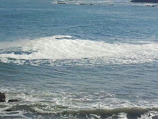 Mare di Trani, la schiuma fa solo scena: Arpa certifica ancora che è tutto ok. Trattamento acque meteoriche, autorizzazioni provinciali entro dicembre