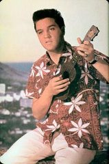 Trani, l'associazione ritMiMisti propone il corso base di ukulele per 