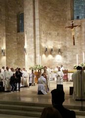 FOTO. Trani abbraccia il suo nuovo sacerdote, Don Domenico Bruno. Opererà a Barletta e Casale Monferrato