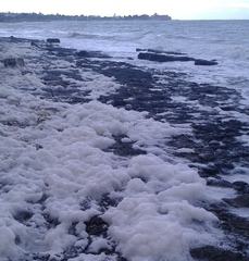 WHATSAPP. Trani, la schiuma riempie le 