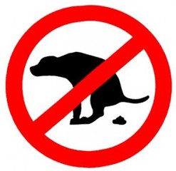 Il proprietario che non rimuove gli escrementi dei cani può essere condannato penalmente