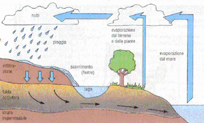 Trani, il Comitato rifiuti zero chiede un consiglio monotematico sull'ambiente ed una commissione che coinvolga i cittadini