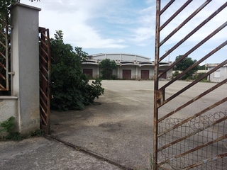 Mercato ortofrutticolo di Trani, quando Leone ci fece il video. Ora il Pd chiede di realizzarvi la «cittadella della gioventù»