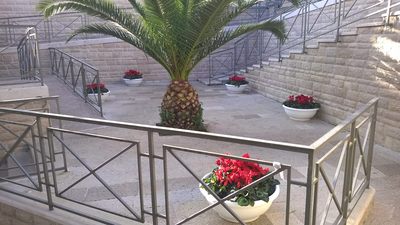 Buon Natale a Trani, città fioriera