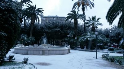 Neve a Trani, arriva l'ordinanza sindacale: obbligo di catene o gomme invernali. Emergenza prevista per le prossime 36 ore