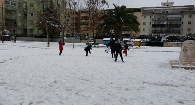 Neve a Trani, tutte le vostre foto. Dall'emozione dei più piccoli all'incanto della nostra terra