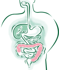 Trani, presso Palazzo Caccetta questo pomeriggio alle 16.30 incontro pubblico su malattie rare e disabilità