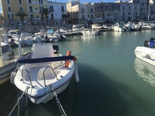 Darsena di Trani: fra furti, aumenti e disservizi i pontili si svuotano. Almeno settanta diportisti si sono trasferiti a Bisceglie
