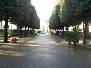 Sicurezza a Trani: agenti e cani antidroga davanti alla villa comunale. Segnalazione negativa