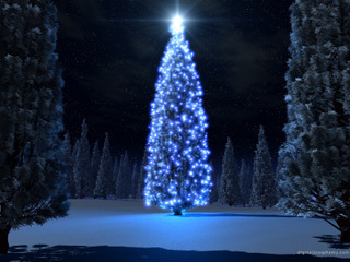 Trani, a marzo la cerimonia di consegna dei premi per il contest 