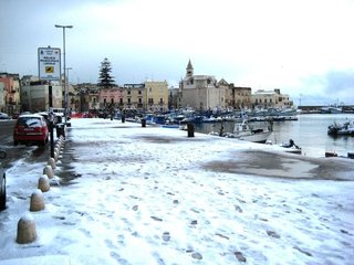 Trani, è tempo di neve: fra allerta e consigli, catene e gomme invernali, è iniziato il tormentone