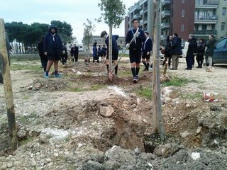Scout, la missione verde del «Trani 2» è compiuta: piantate le querce in via Giachetti