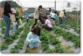 Trani, oggi in piazza della Repubblica 