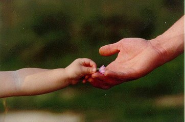 Trani, domenica in via San Giorgio ci saranno i protagonisti del progetto Hobby Farmers