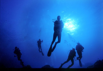 Lega Navale di Trani: corsi di subacquea con tre livelli. ReActivate, Open water driver, Specialità e avanzati