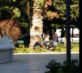 Trani 2015, Tomasicchio denuncia presunte anomalie degli operatori: «Anarchia ignorata in strade e piazze, eccesso di zelo al porto»