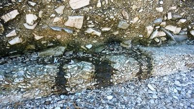 FOTO. Presunto scarico abusivo sul lungomare di Trani: sopralluogo immediato. Intanto, decine di contestazioni e sanzioni