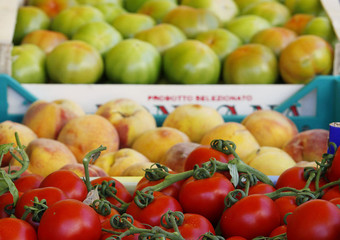 «Nutrire il pianeta», oggi a Trani la premiazione del concorso del Rotary