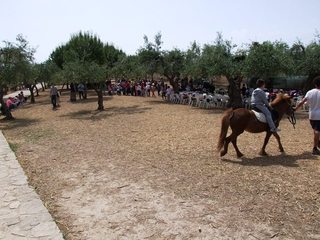 Ponte del 25 aprile a Trani, la cattedrale di nuovo con l'orario continuato. E fioriscono le attività a Santa Geffa