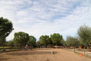 Trani ed il Crocifisso di Colonna, fino ad oggi tante attività a Santa Geffa