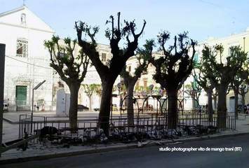 Trani, in piazza Garibaldi incendiata la giostrina installata negli ultimi giorni