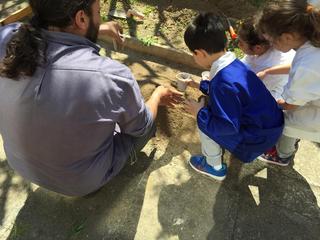 «Trani città dell'infanzia» entra nelle scuole: i giardini della Petronelli diventano orto botanico