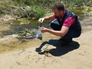 Balneazione 2015 a Trani: valori leggermente alterati nei dati di aprile dell'Arpa
