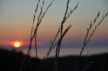 Trani, Mario Guerra ad Arsensum fino a domenica prossima: «Le mie radici, terra e mare»