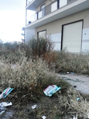 Trani, in via Polonia erbacce ad altezza di balcone e rischio incendio: i residenti hanno paura