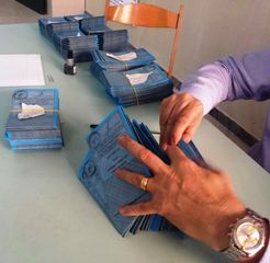 Trani 2015, tutto pronto per il voto. Fioriscono i rappresentanti di lista dei candidati consiglieri