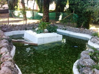 Il secondo parco pubblico di Trani si presenta così: Villa Bini, a soli tre anni dall'inaugurazione, è più che mai un caso