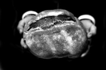 «Pane sospeso», a Trani e Ruvo l'associazione Orizzonti promuove la solidarietà. Tutti gli esercizi che aderiscono