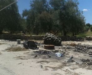 Trani e le «sue» discariche: bentornati in via Duchessa d'Andria