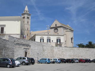 Ripulito il muro di largo Pastore: niente più erbacce guardando, da lì, la cattedrale di Trani