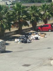 AGGIORNATO. Rifiuti davanti ai capannoni della Trani-Andria, cassonetto inutile: i rifiuti sono sempre là