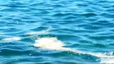 Analisi del mare a Trani, il geologo Bartucci: «Le vere criticità si stanno verificando adesso, ma Arpa, forse, ce lo dirà solo fra un mese»