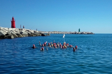 Alla Natalonga 2015 vince il mare di Trani. I partecipanti: «Mai nuotato in acque così limpide». Tutti i risultati
