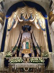 AGGIORNATO. Trani religiosa, Sant'Anna: Oggi, memoria liturgica, messa solenne, processione e fuochi. Le immagini della diana