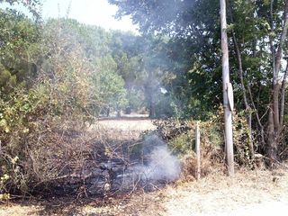 Prevenzione incendi, in campo anche Trani soccorso: spento in tempo un rogo in via Puccini